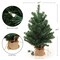 2' Pre-Lit Northern Spruce 2' Christmas Tree with Burlap Base | Tabletop Tree | Indoor/Outdoor Use | Holiday & Christmas tree Décor | Tabletop Accent | Home & Office Decoration